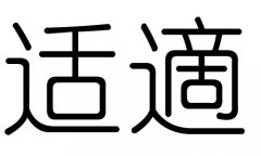 适字的五行属什么，适字有几划，适字的含义