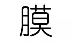 膜字的五行属什么，膜字有几划，膜字的含义