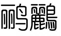 鹂字的五行属什么，鹂字有几划，鹂字的含义