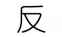 反字的五行属什么，反字有几划，反字的含义