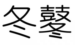 冬字的五行属什么，冬字有几划，冬字的含义