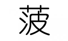 菠字的五行属什么，菠字有几划,菠字的含义