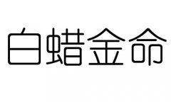 白蜡金命是什么意思？白蜡金命好不好？