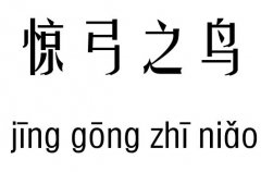 惊弓之鸟五行吉凶_惊弓之鸟成语故事