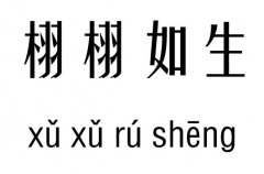 栩栩如生五行吉凶_栩栩如生成语故事