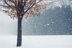 梦见下大雪