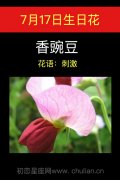 7月17日生日花：香豌豆