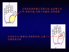 手相图解大全,教你如何看手相