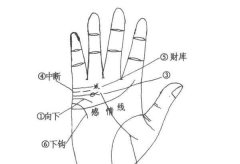 简介婚姻线分叉真的不好吗？