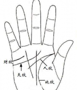 手相五大手纹基本知识