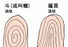 指纹配对算命：几个斗的人和你最配？