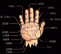 凯帝阿手相算命图解大全01