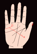 凯帝阿手相算命图解大全03
