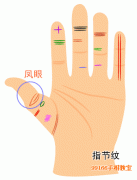 手指纹路巧看命