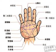 断掌手相的人运气好吗