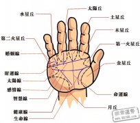 手相算命：手相算命入门知识