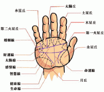 八大星丘解析女性运势