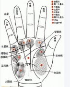 滥施情感的手相有何特征