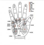 教你如何精准的看自己手相