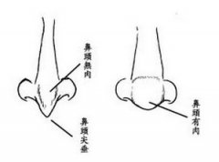 什么面相的人心地善良