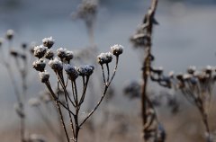 公司取名测算方法原理