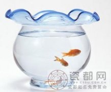 子鼠所属的风水鱼