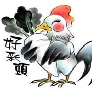 属鸡的人命不好吗？属鸡的命苦十鸡九不全的说法