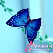 属鸡最让人反感的特点是什么