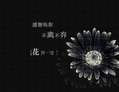 狗年姓陆男孩名字大全 属狗陆姓男宝宝起名2018