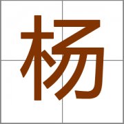 姓杨男孩豪爽大气的名字