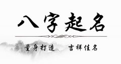 2019年1月份出生的宝宝名字