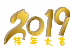 麦玲玲12生肖2019年运程预测（最新完整版）