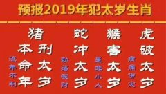 2019年犯太岁生肖转运避厄大支招！