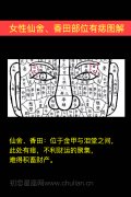 女性仙舍、香田部位有痣图解