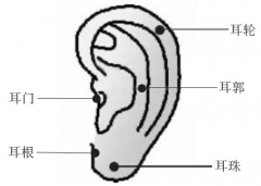 耳朵痣的位置与命运图女人