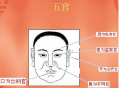 面相教学五官命运怎么看