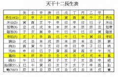 对照日柱地支得知配偶的sex能力和特点