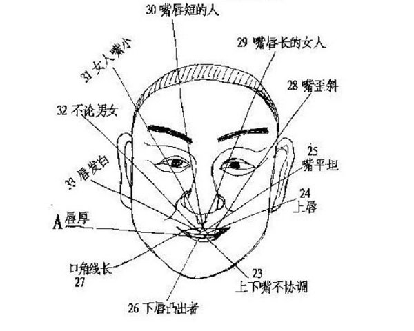 门牙大的人运势怎么样