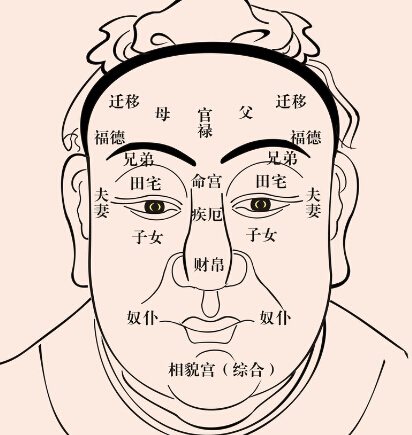 看男人面相算命图解大全