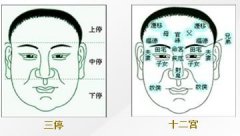 幼时面相变化透露哪些玄机