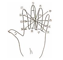 十二地支六冲掌诀图