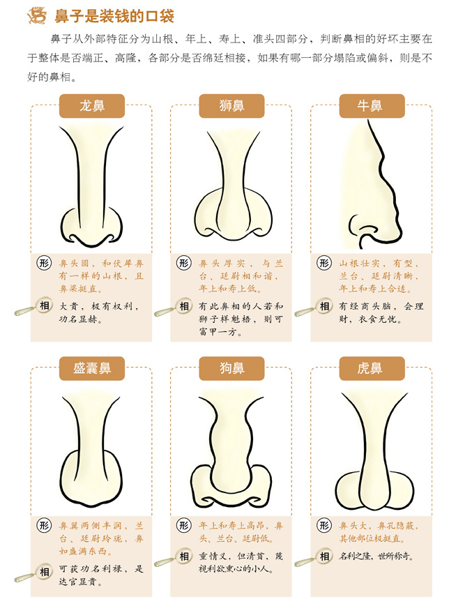  面相速查