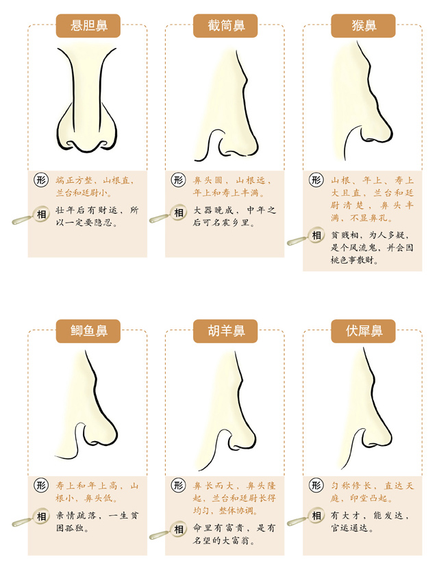  面相速查