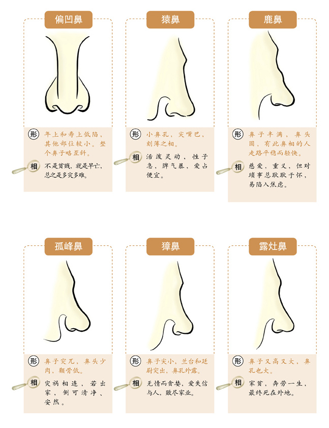  面相速查