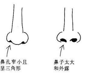 女相研究—— 财运篇