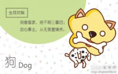 生肖狗创业失败会做什么