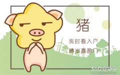 属猪人2018年5月整体运势