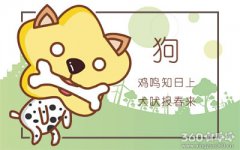 属狗人2018年5月整体运势